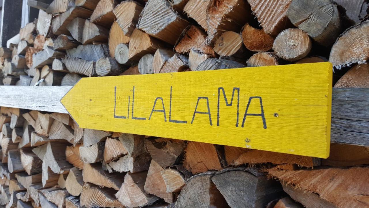 Apartment Lilalama Γκρίντελβαλντ Εξωτερικό φωτογραφία