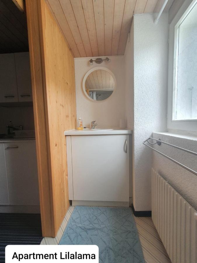 Apartment Lilalama Γκρίντελβαλντ Εξωτερικό φωτογραφία
